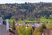 Faszinierende Aussicht - Preisanpassung! 4,5 Zi. Wohnung mit Ausblick genießen + 1,5 Zi. im Dachgeschoss & XL-Garten on Top!