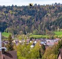 Preisanpassung! 4,5 Zi. Wohnung mit Ausblick genießen + 1,5 Zi. im Dachgeschoss & XL-Garten on Top! - Plüderhausen