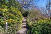Zugang zum Haus - 