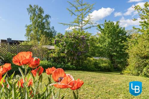 Schön angelegter Garten - 