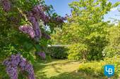Blütenpracht im Garten - 