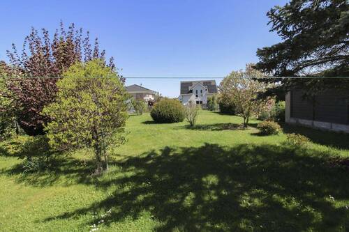 Blick in den Garten - 
