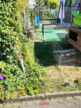 Bild 5 - 