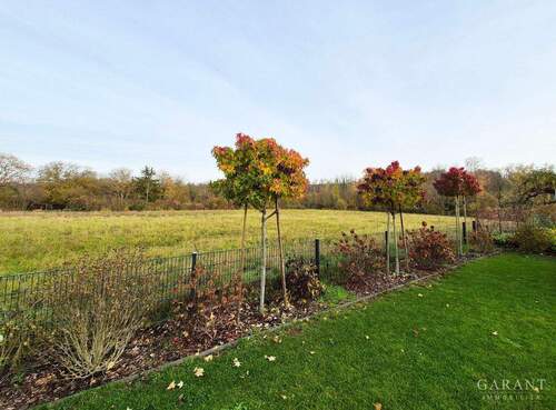 Blick in die Natur - 