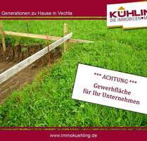 Gewerbegrundstück direkt in der Boom-Region Vechta! - Goldenstedt / Lutten