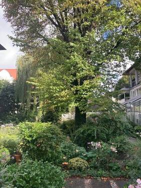 Innenhof - 
