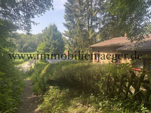 Waldweg - 