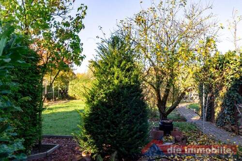 Gartenblick - 