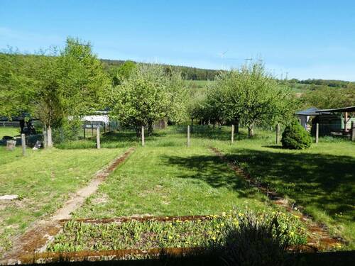 Blick in den Garten - 