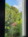 Blick aus dem Bett - 
