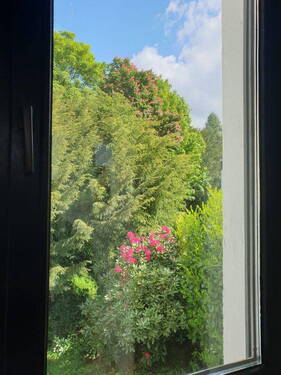 Blick aus dem Bett - 