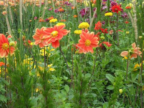 Blumenwiese - Großzügiges, sonniges Baugrundstück im grünen Hamburg-Niendorf