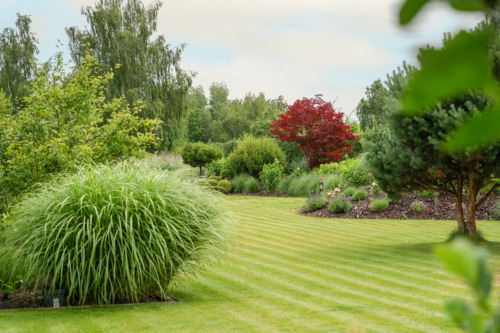 Optionales Baugrundstück - 