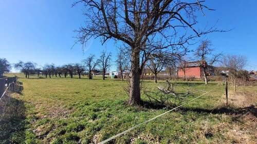 Bauerwartungsland - Grundstück zum Kaufen in Frohburg
