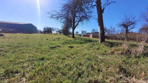 2 Flurstücke - Grundstück in Frohburg zum Kaufen