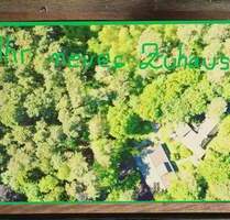 # 2 HÄUSER auf 2.500qm Wald,wunderschön +Nähe A1, 25Min.bis HH,ohne Provision # - Dierstorf Heide Wennerstorf-Heide