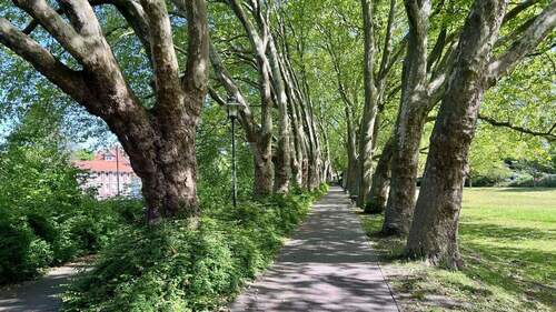 Impressionen der Umgebung - 