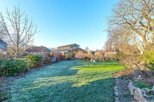 Blick in den Garten - 