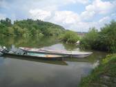 Schelch - 