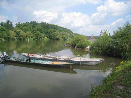 Schelch - 