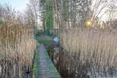 Am Brahmsee - 