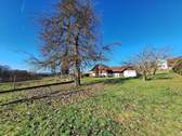 20260225_144444.jpg - Ehemaliges Bauernhaus mit über 5.000 m² Grund in ruhiger Lage von Grattersdorf – ideal für Tierhaltung