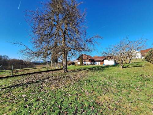 20260225_144444.jpg - Ehemaliges Bauernhaus mit über 5.000 m² Grund in ruhiger Lage von Grattersdorf – ideal für Tierhaltung