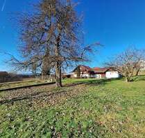 Ehemaliges Bauernhaus mit über 5.000 m² Grund in ruhiger Lage von Grattersdorf – ideal für Tierhaltung