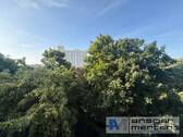 Blick aus dem Esszimmer - 