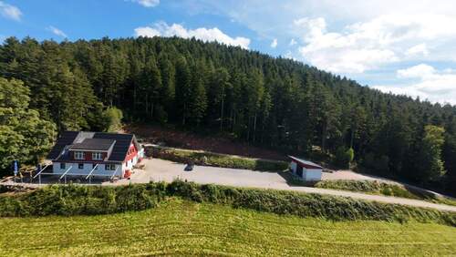 Traumhaftes Anwesen im Schwarzwald - Exklusives Schwarzwaldrefugium - Zeit für Freunde, Familie und besondere Momente