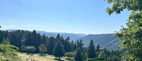 Ist das der Ausblick den Sie sich wünschten? - 