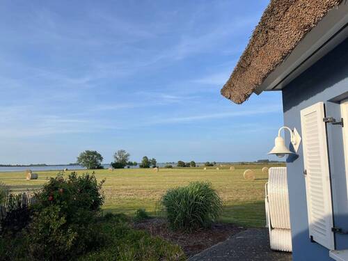 Aussicht Wasserblick - Charmantes Reetdachhaus mit moderner Ausstattung und Boddenblick