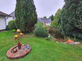 Der Gartenteich - 