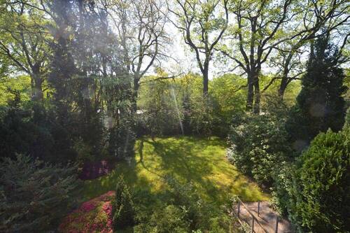 Blick in den Garten - 