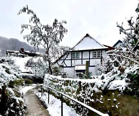 IMG_0080 - Liebevoll saniertes Fischerhaus, stufenlos erreichbar- nur wenige Schritte von der Elbe entfernt!'