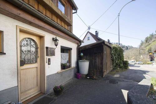 Schuppen 2 - Zugang Terrasse - 