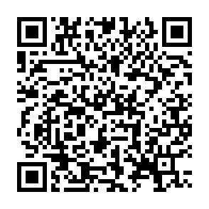 QR-Code - 