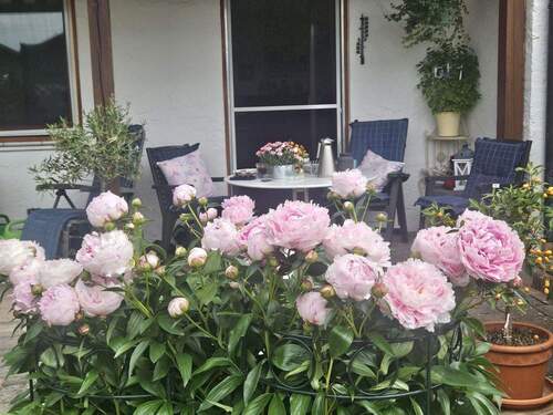 Ansicht Terrasse - Doppelhaushälfte mit 136,00 m&sup2; in Kastl zum Kaufen