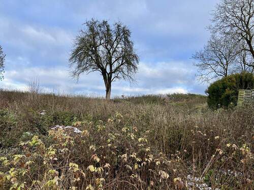 Grundstück - Im Grünen zuhause - in der Stadt in kurzer Zeit