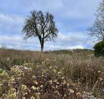 Im Grünen zuhause - in der Stadt in kurzer Zeit - Sinzing Bergmatting