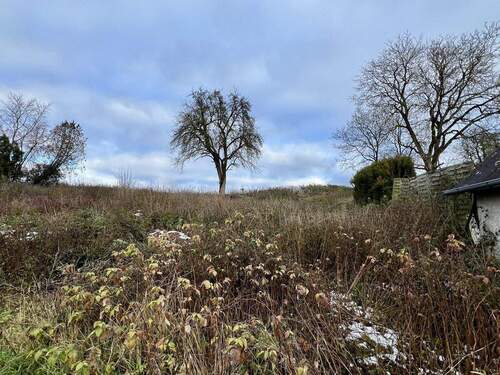 Grundstück - Grundstück zum Kaufen in Sinzing Bergmatting