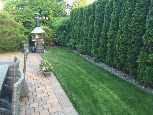 Terrasse seitlich - 