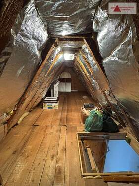Dachspitz - 
