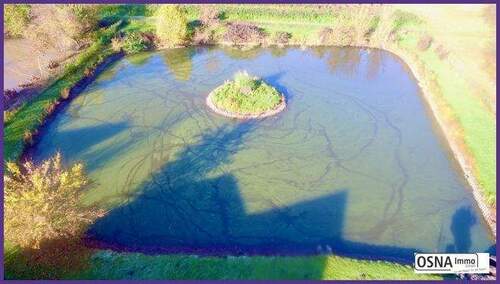 Luftaufnahme Teichanlage - 