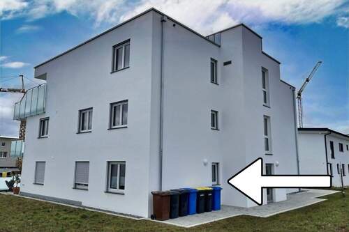 Seiten-/Hinteransicht - 