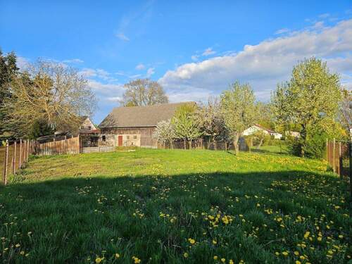 Wiese am Haus.jpg - 