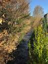 Bachlauf - 