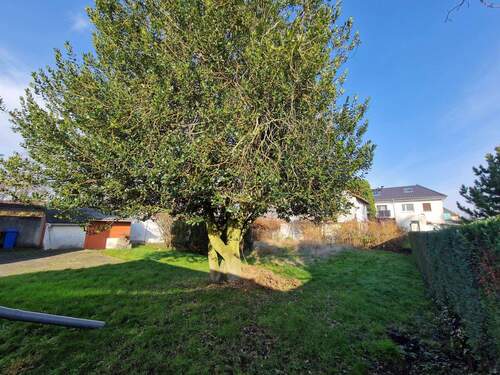 Grundstück 4.jpg - 4 Zimmer Doppelhaushälfte zum Kaufen in Oberursel