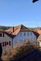 Blick - 