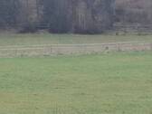 20260331_144519.jpg - 